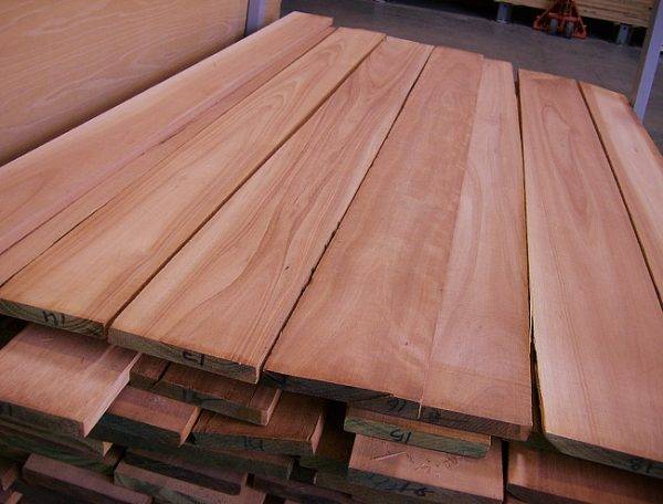 Eucalyptus Lumber