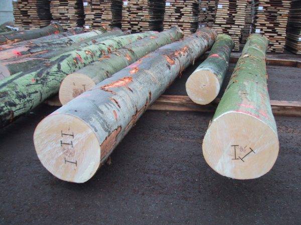 Beech Logs