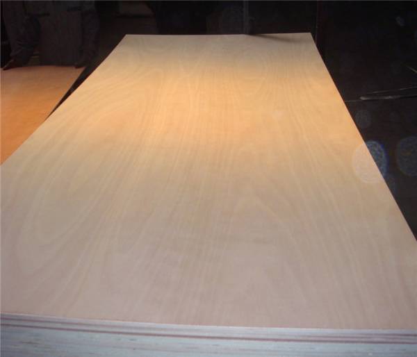 Poplar Plywood